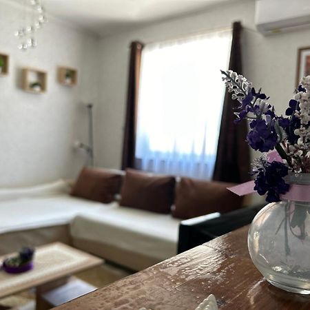 Levendula Vendeghaz Villa บาลาตอนเฟิลด์วาร์ ภายนอก รูปภาพ